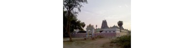 245. திருவன்பார்த்தான் பனங்காட்டூர்